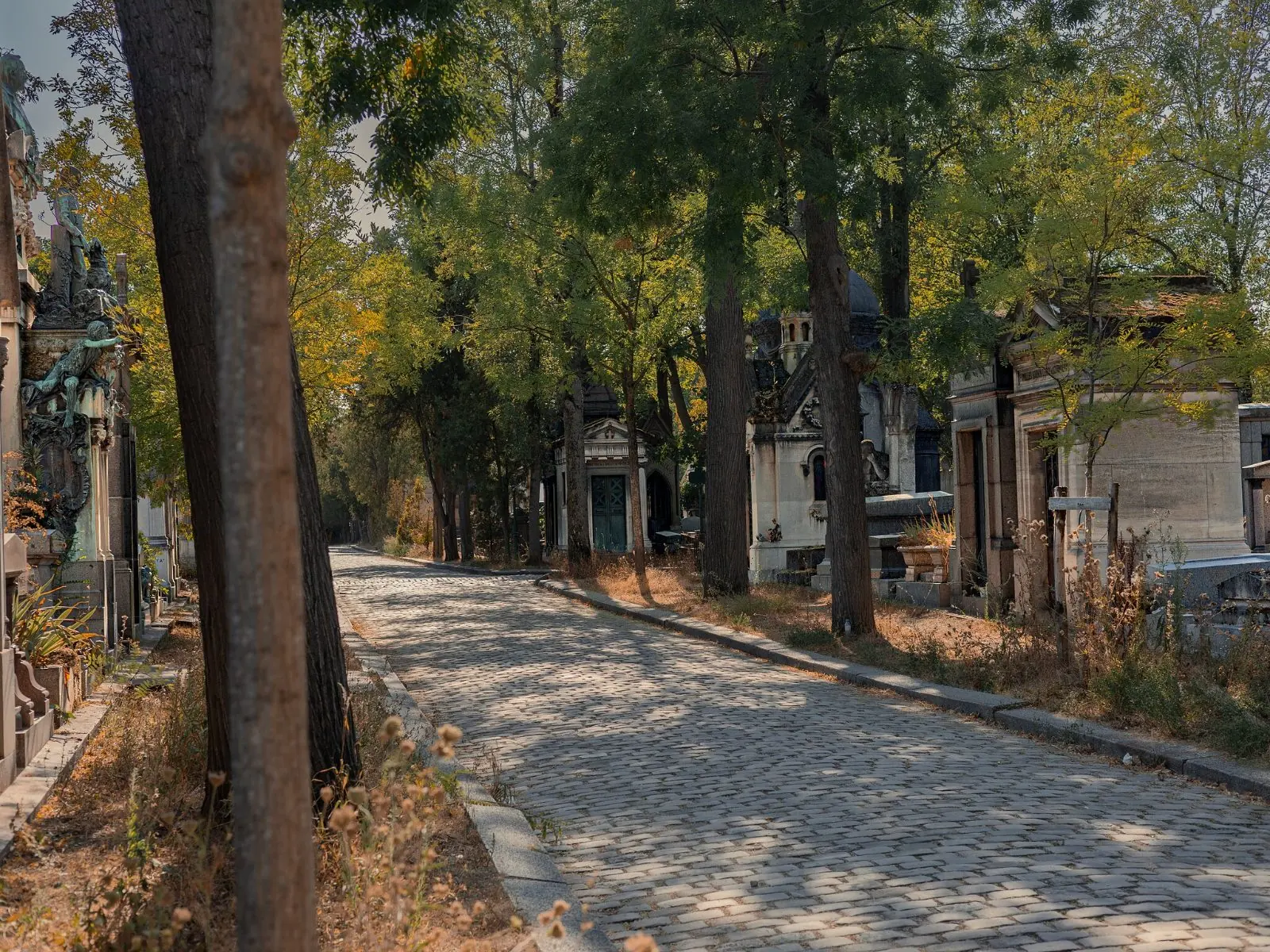 A curving avenue at Père Lachaise under autumn trees, leaves on the cobbles