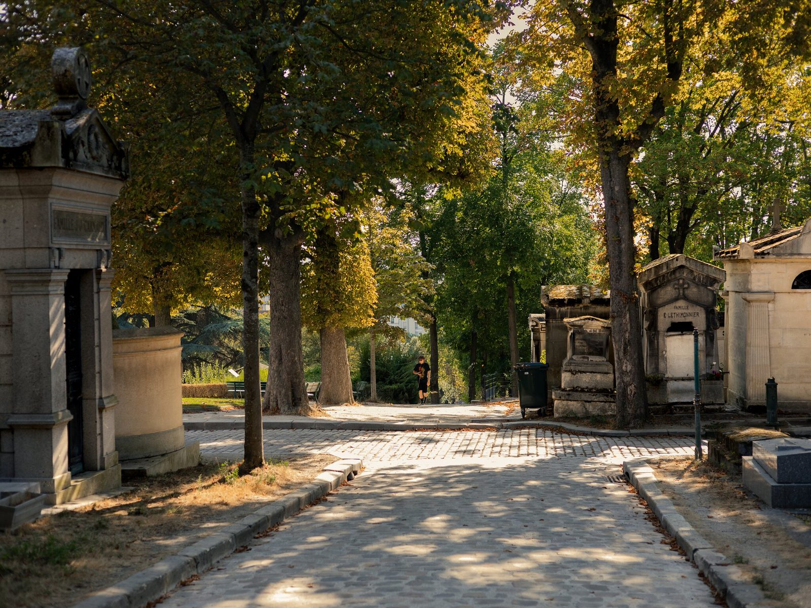 A cobbled avenue at Père Lachaise lined with chestnut trees and 19th-century family chapels