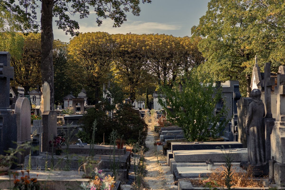 Graves and monuments among trees on the slope of the cemetery