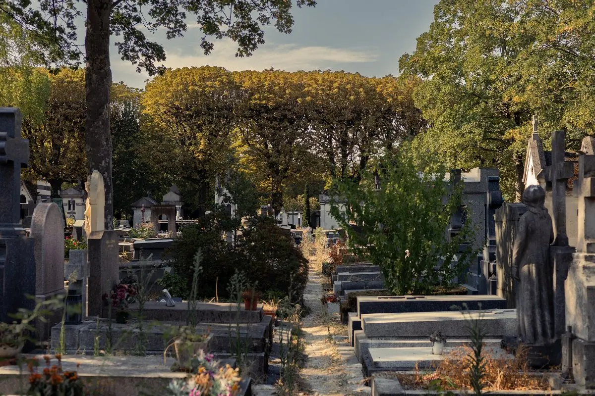 Graves and monuments among trees on the slope of the cemetery