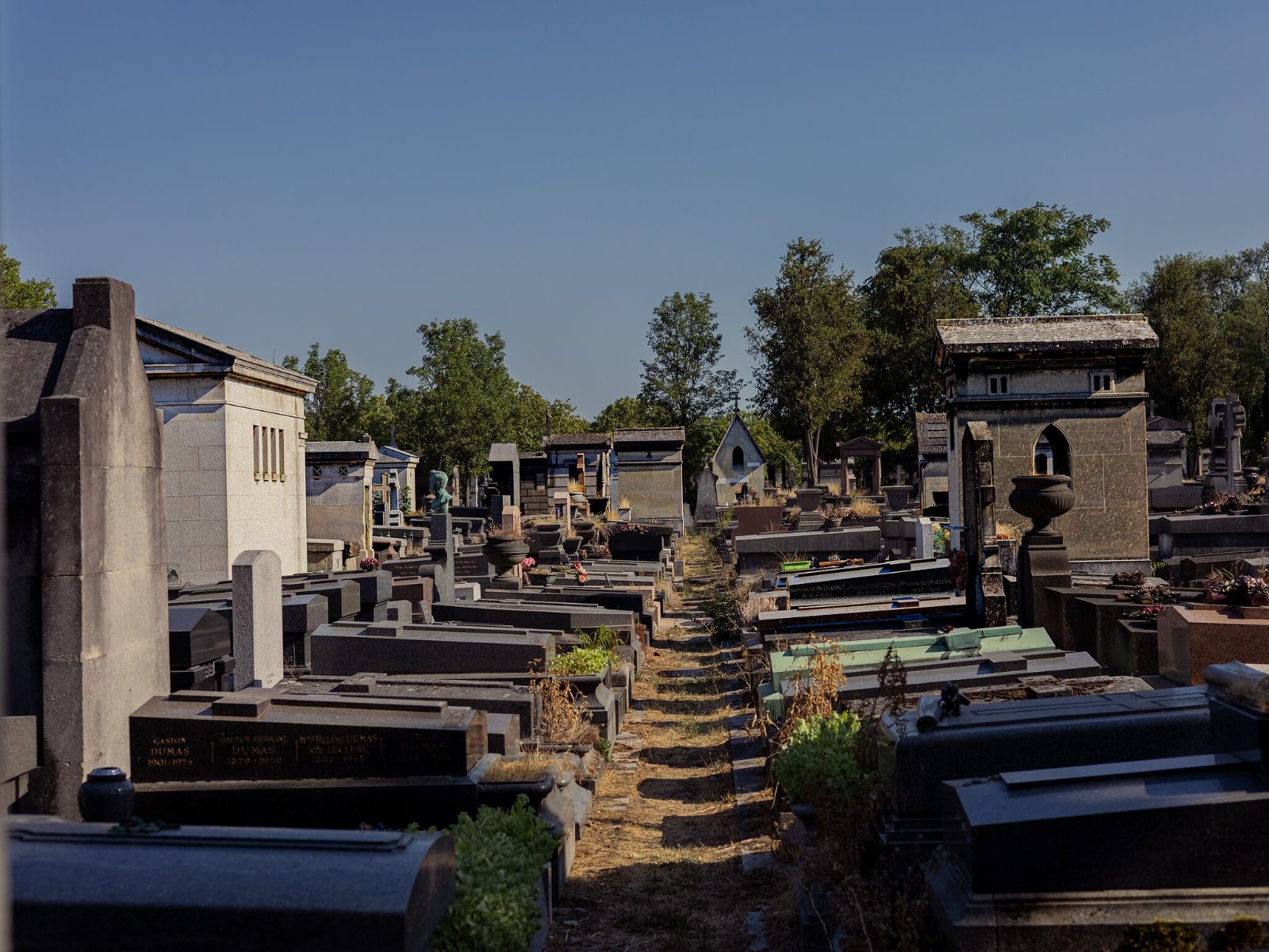 The wooded slope of Père Lachaise with rows of stone vaults rising towards the skyline