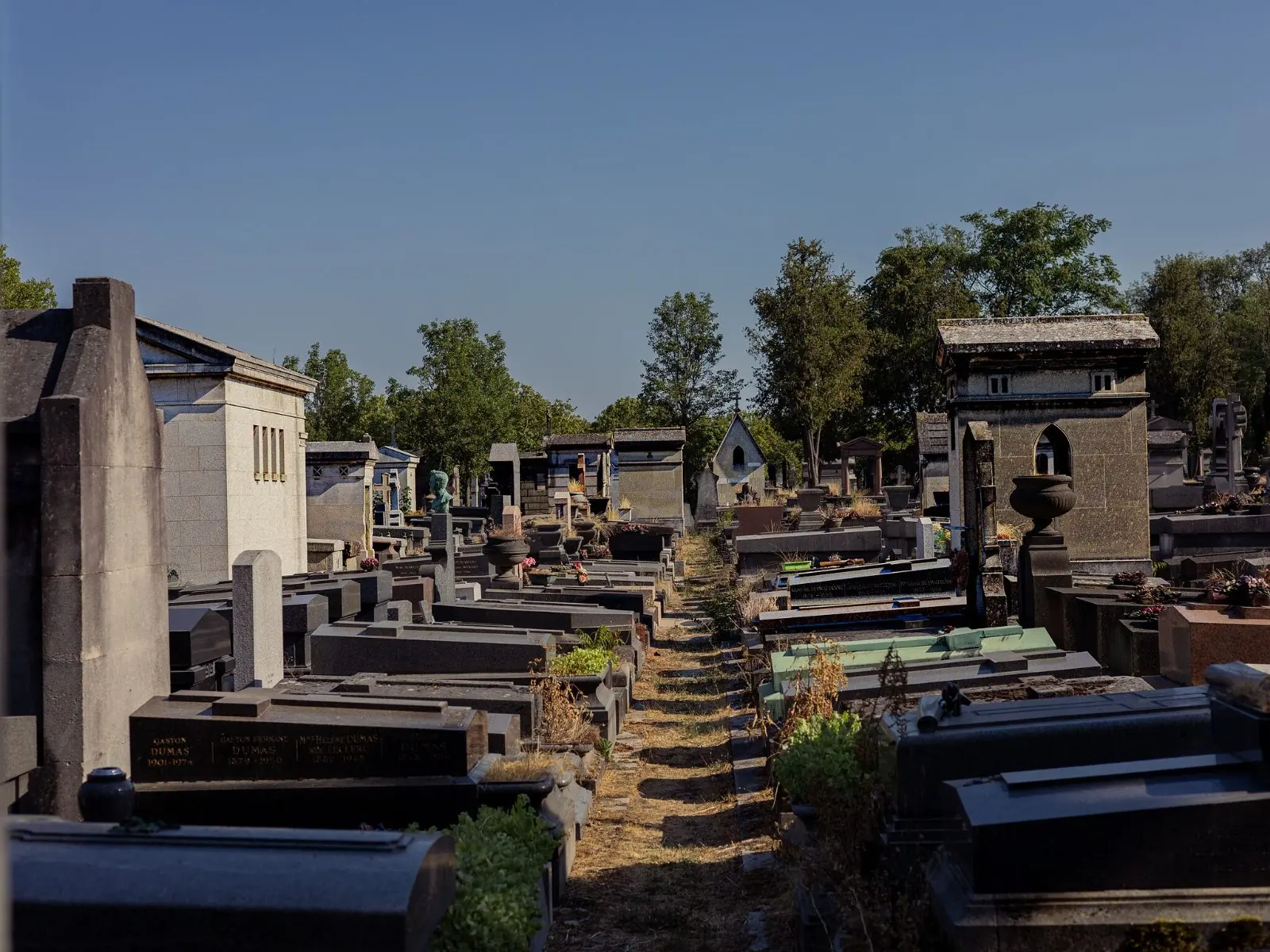The wooded slope of Père Lachaise with rows of stone vaults rising towards the skyline